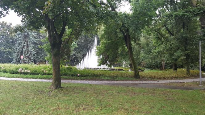 Rzeszów walczy ze szczurami w parku