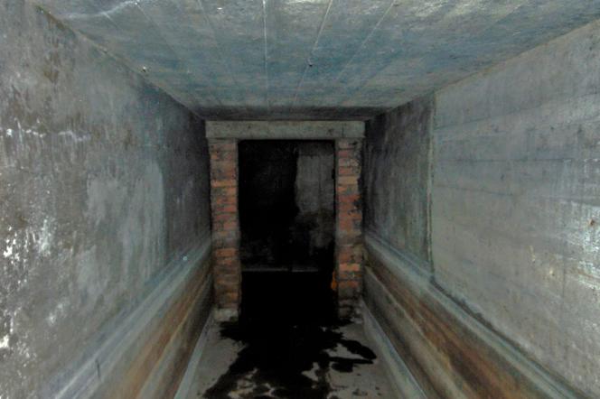 Bytom: Tajemnicze tunele i schrony pod willami w centrum miasta [ZDJĘCIA]