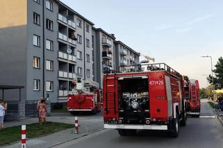 Lubelskie: Pożar kuchni w bloku. Strażacy wynieśli kota z zadymionego mieszkania