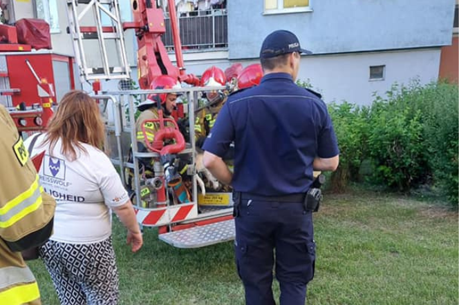 Pies spędził dwa dni bez wody i picia na balkonie. Zareagowali sąsiedzi 