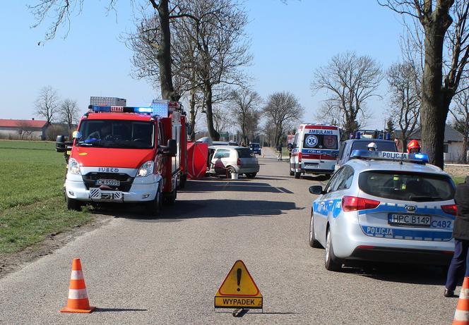 71-latek uderzył w drzewo Renault Clio. Zmarł w wyniku poniesionych obrażeń