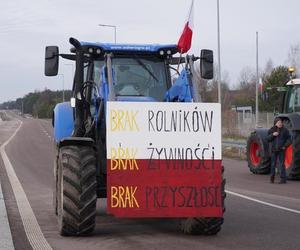 Więcej upraw ekologicznych