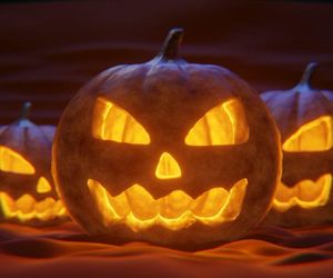 Co robić w Halloween we Wrocławiu? Lista koszmarnych wydarzeń 