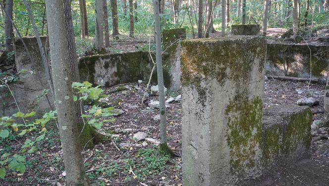 Bunkry na Mazurach wybudowane dla żołnierzy Wehrmachtu. To tu miała być ukryta Bursztynowa Komnata [ZDJĘCIA]