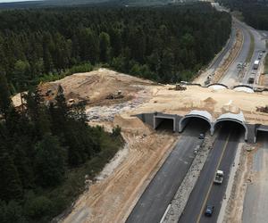 Obwodnica Wąchocka (31.07.2024)