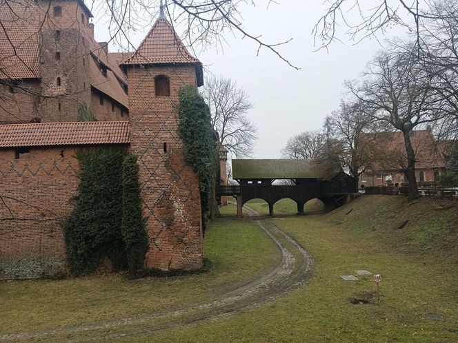 Zamek Krzyżacki w Malborku