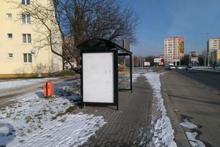 Absurd w Toruniu. Zbudowano przystanek, na którym... nikt nie staje! Zapłacili podatnicy [ZDJĘCIA]