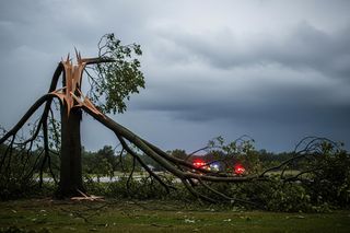 Nawałnice przeszły nad Polską. Ilu rannych w wyniku silnych wichur?