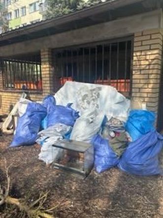 Ptaszniki porzucone na śmietniku? Nietypowe znalezisko w Lublinie