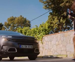 Miłość i nadzieja odc. 306. Kuzey, Acelya