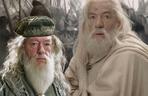 Sir Ian McKellen jako Albus Percival Wulfryk Brian Dumbledore
