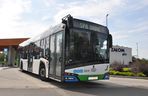 Szczecin kupi nowe autobusy