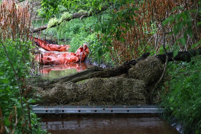 Pożar w Siemianowicach Śląskich był zlecony przez Rosję?