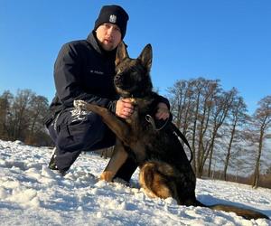 Nowych pomocników mają małopolscy policjanci.  To Szejk i Skala