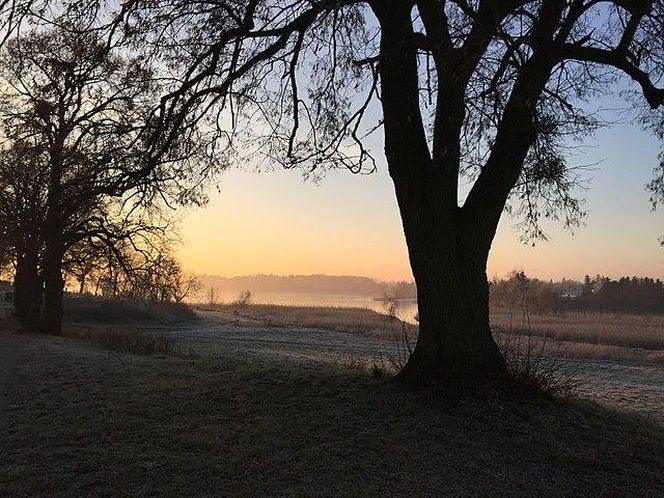 Jezioro Bnińskie i okolice Kórnika