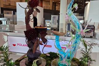 Sukces młodego cukiernika z Bydgoszczy! Kamil Poćwiardowski zachwycił na mistrzostwach świata 