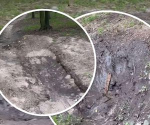 Urządzili sobie tor przeszkód w zabytkowym parku