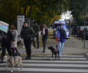 Wielki marsz adopciaków w Radomiu