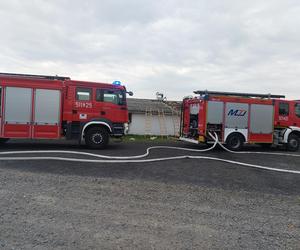 Potężny pożar kurnika w pow. radzyńskim Padło kilka tysięcy zwierząt. Zobacz