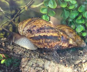 Węże, pająki i dreszczyk emocji w Bydgoszczy! Dragon Expo zachwyciło odwiedzających