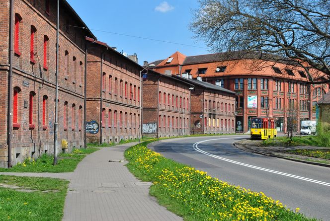 Najbardziej zielone miasta w Śląskiem