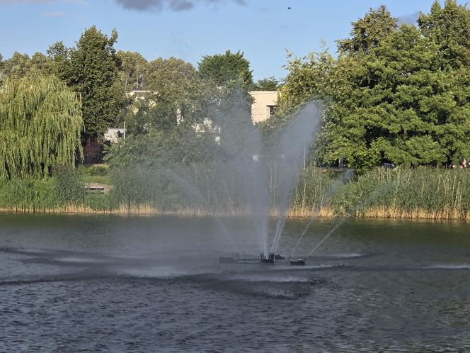 Zielona perła Bartodziejów. Odkryj uroki bydgoskiego Balatonu