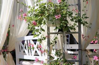 Firanki do altany. Zdjęcia