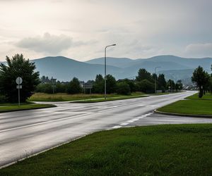 Psy terroryzowały Brenną. Czy ich śmierć to jedyne rozwiązanie?