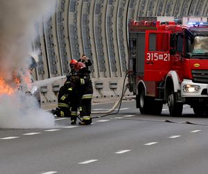 Pożary samochodów elektrycznych. Straż ujawnia dane, skala jest zaskakująca  