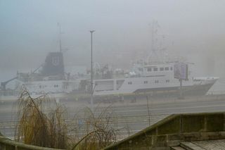 Gęsta mgła Szczecin 