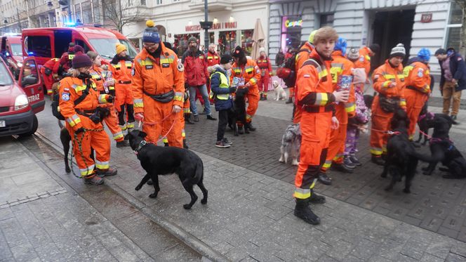 Wielka Szarża w centrum Łodzi. Oddziały konne przeszły przez Piotrkowską