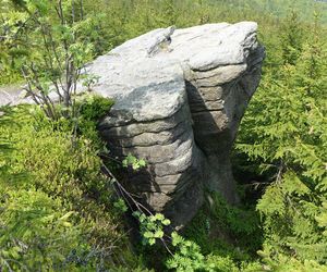 Magurka Radziechowska na zdjęciach