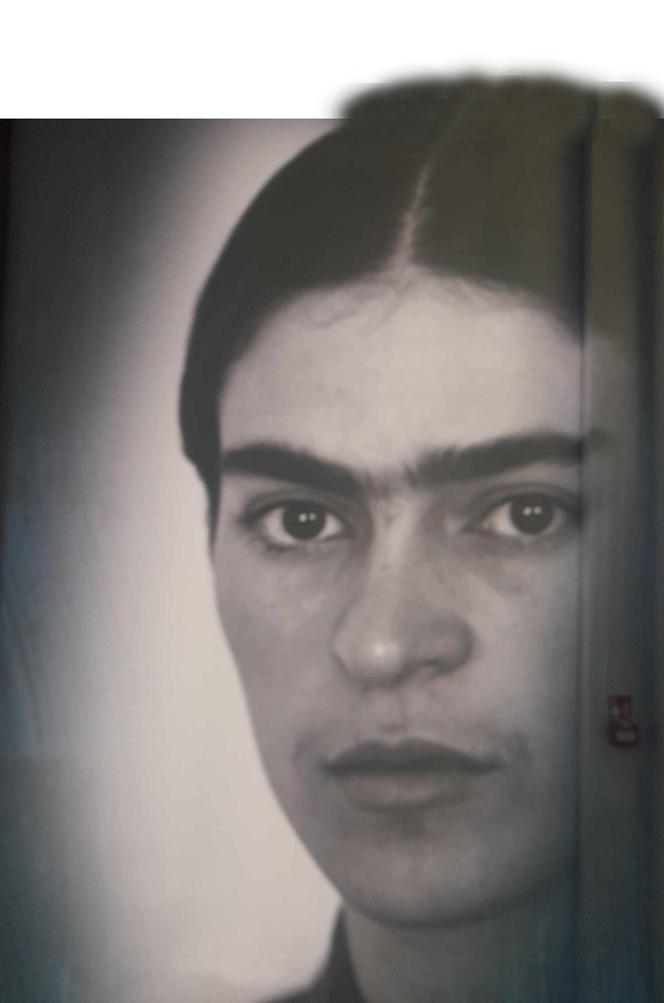 Frida Kahlo w Fabryce Norblina. Będzie hit!