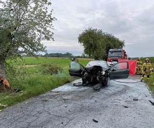 Śmiertelny wypadek pod Pleszewem. W aucie 40-latki wybuchł pożar [ZDJĘCIA]