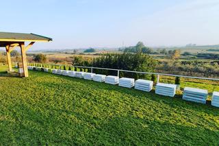 Farma Zdrowia J@busko w Pęczelicach zaprasza