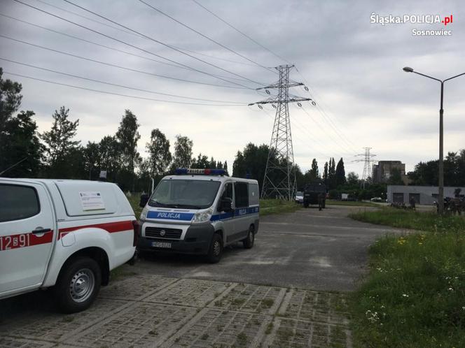 Sosnowiec. Tragiczny finał poszukiwań pani Leokadii. Znaleziono szczątki [ZDJĘCIA]