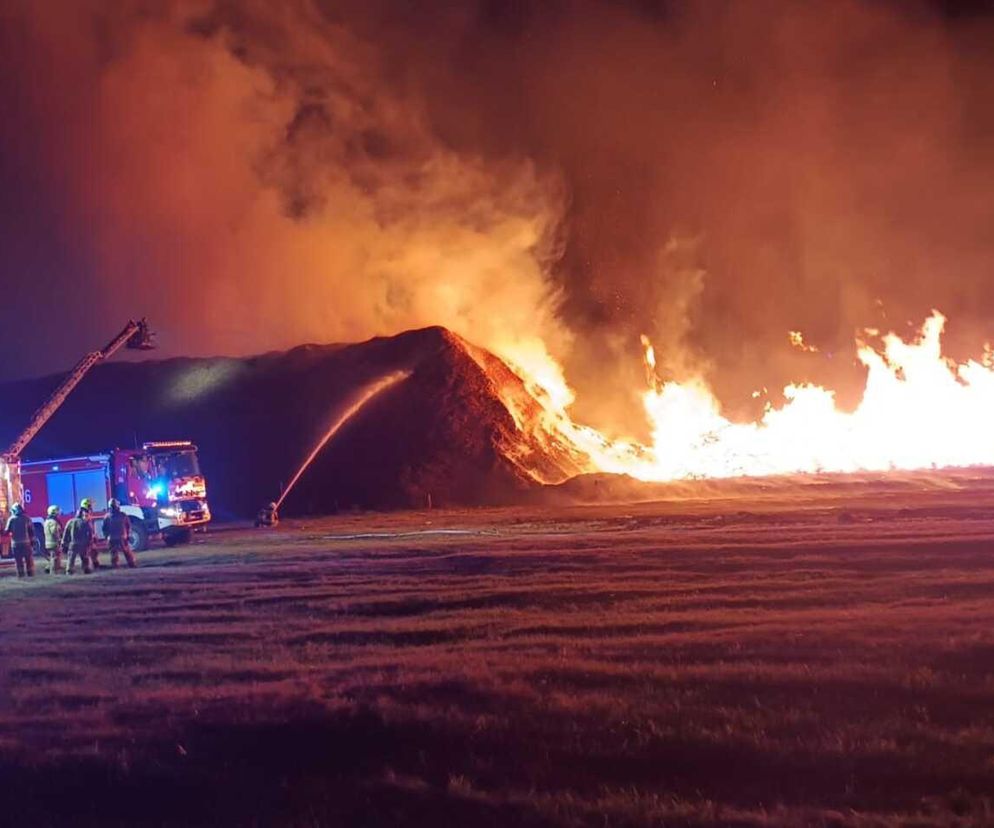 Ogromny pożar pod Kaliszem.  Sytuacja jest już opanowana. W akcji ponad 20 zastępów straży pożarnej 