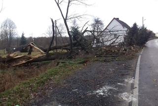 Wichury na Dolnym Śląsku