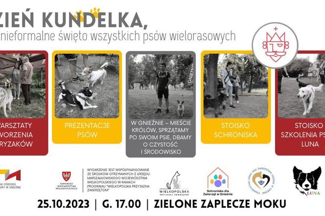 Dzień Kundelka