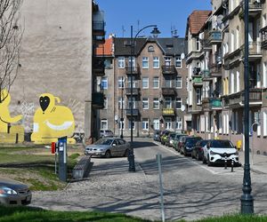 Rewitalizacja Dolnego Miasta i Starego Przedmieścia
