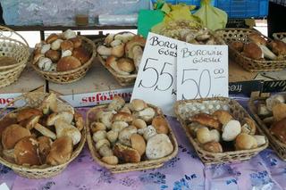 Ile kosztują grzyby w Krakowie? Ceny na targowiskach przyprawiają o zawrót głowy