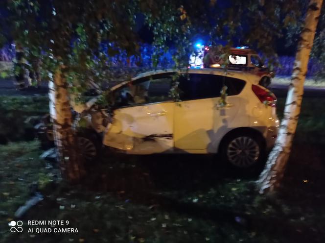 Młody kierowca wyprzedzał "na trzeciego"