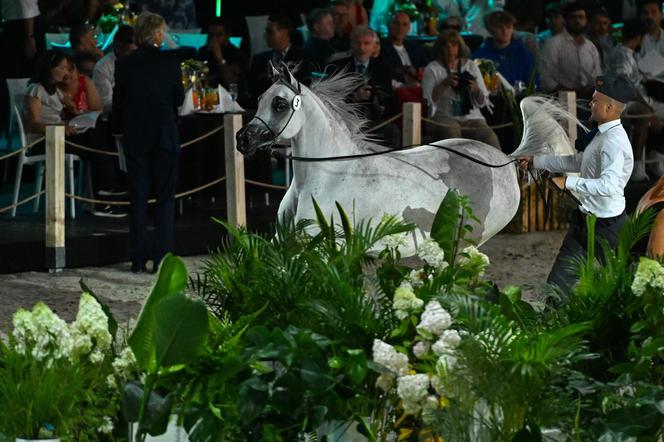 Porażka Pride of Poland 2024? Zyski są zdecydowanie niższe niż rok temu