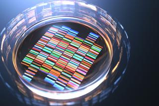 Testy DNA w diagnostyce zakażeń układu moczowo-płciowego
