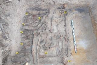 Wśród szczątków znaleziono zaskakujący przedmiot