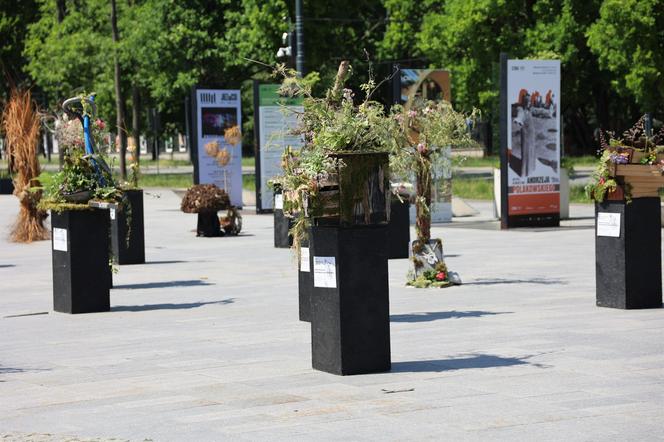 Weekend z florystyką w Lublinie. Zobacz imponujące roślinne instalacje w centrum miasta!