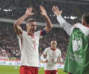 Mecz Polska - Nowa Zelandia: Transmisja i relacja online ze Stadionu Śląskiego