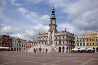 Widzialna ręka dostrzega niewidziadzialne problemy. Zamościanie pomagają podczas kwarantanny