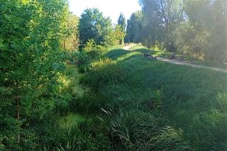 Jezioro Słoneczne znika w oczach