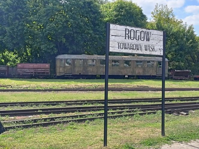 Rogowska kolej wąskotorowa. To perełka wśród zabytków techniki w Łódzkiem